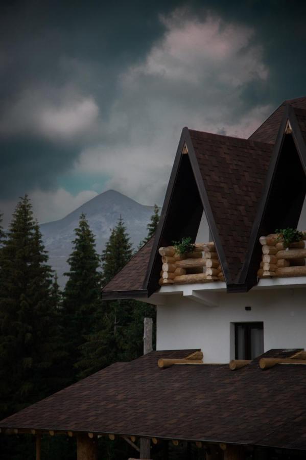 Pensiunea Rancaski Buitenkant foto